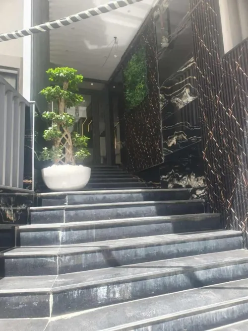 Vente Appartement F3 Alger Dely brahim