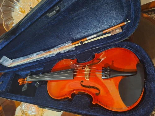 Violon 4/4 excellente qualité 