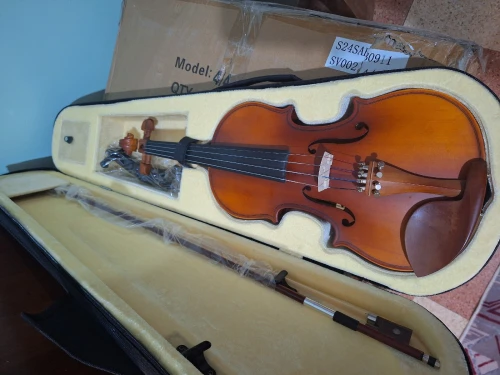 Violon professionnel 4/4