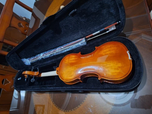Violon 4/4 semi professionnel