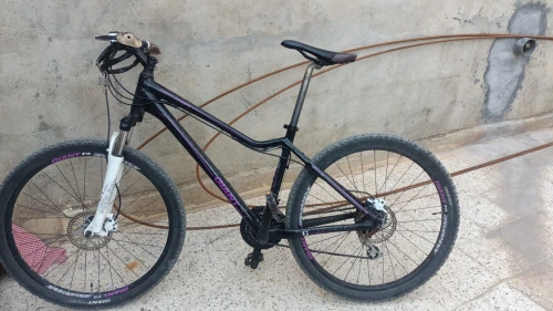 Velo 26.5 GEANT