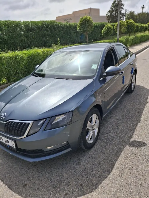 Skoda Octavia 2018 Ambiente