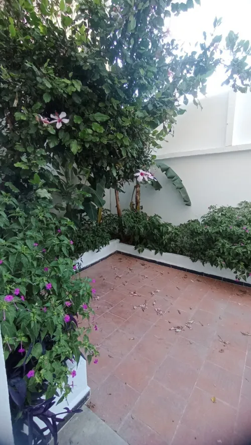 Location Appartement Niveau de villa F4 Alger Hydra