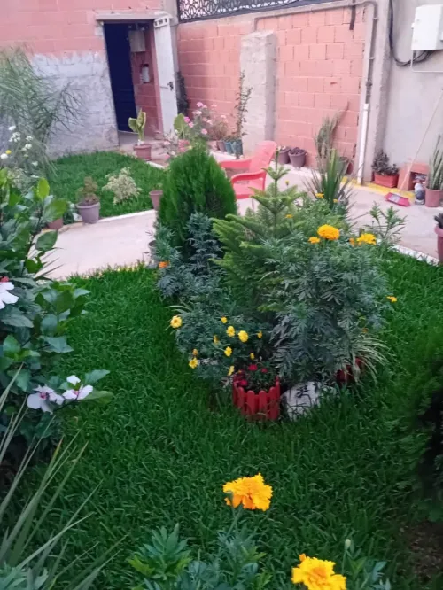 Vente Villa Blida Larbaa