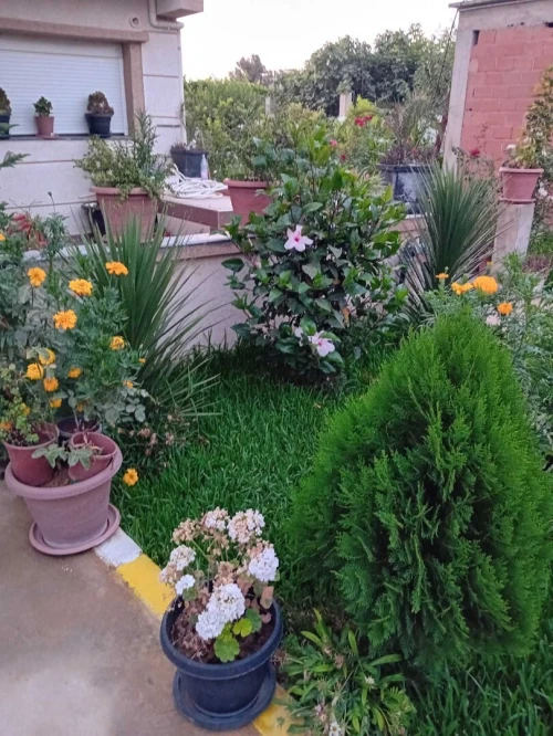 Vente Villa Blida Larbaa