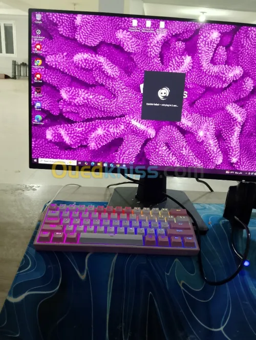 Pc gamer سومة افير 