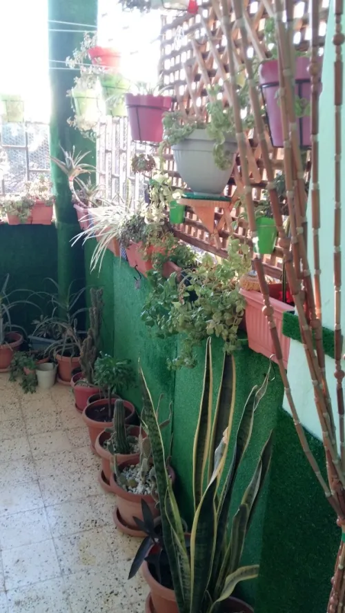 Vente Appartement F3 Sidi Bel Abbès Ben badis