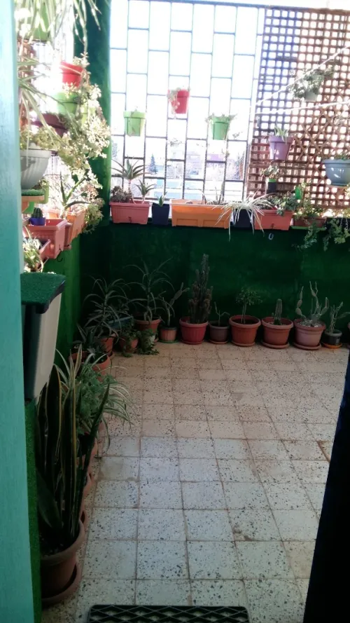 Vente Appartement F3 Sidi Bel Abbès Ben badis