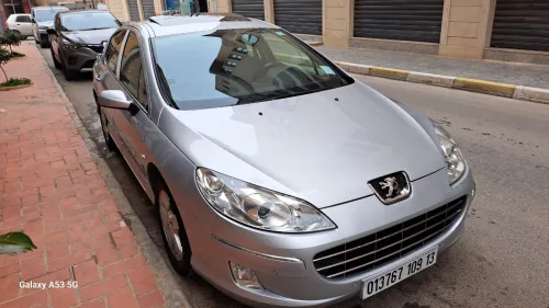 Peugeot 407 2009 407