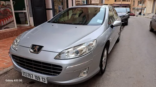 Peugeot 407 2009 407