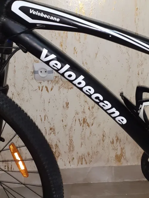 Vtt sport électrique