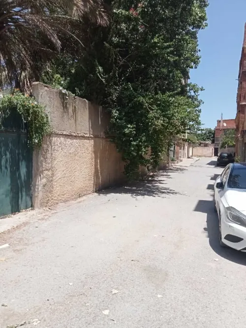 Vente Terrain Alger Cheraga