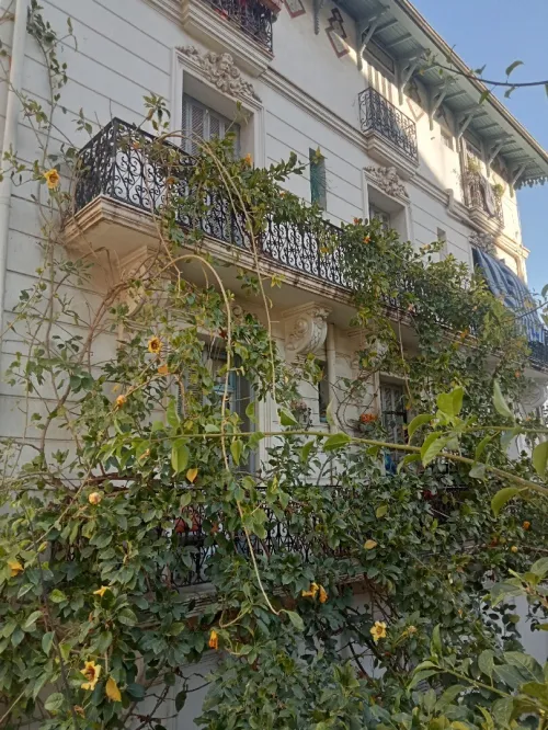 Vente Appartement F2 Alger Alger centre