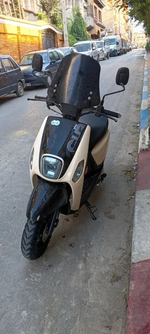 Cuxi2 Cuxi2 2025