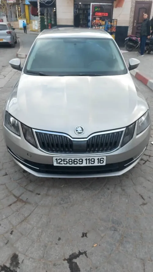Skoda Octavia 2019 Business
