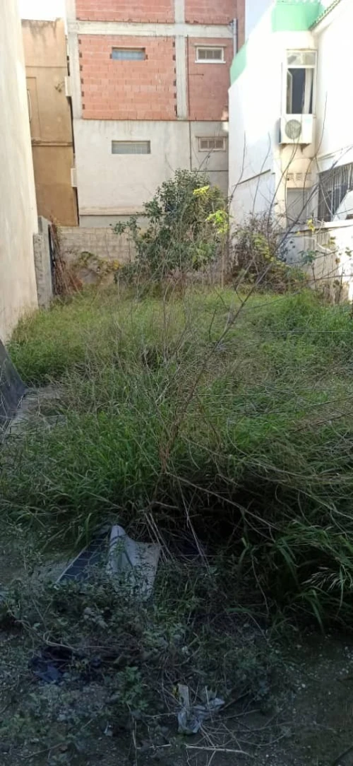 Vente Terrain Alger Bordj el bahri