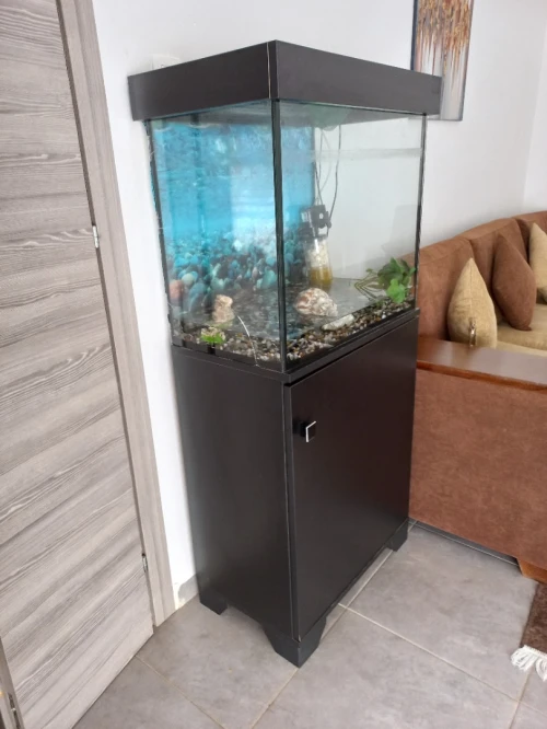 Vente aquarium 