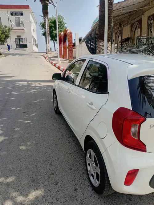 Kia picanto 2023 picanto