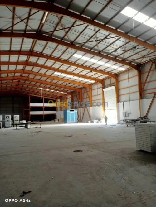Location Hangar - Usine Alger Rouiba