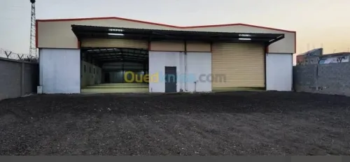 Location Hangar - Usine Boumerdès Ouled moussa
