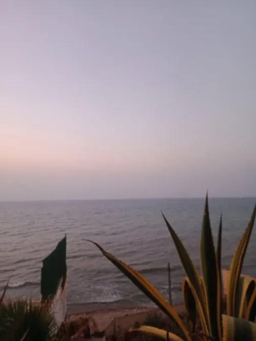 Vente Villa Tipaza Fouka