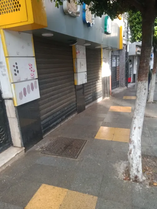 Location Local Alger Alger centre