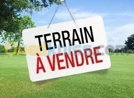Vente Terrain Alger Cheraga