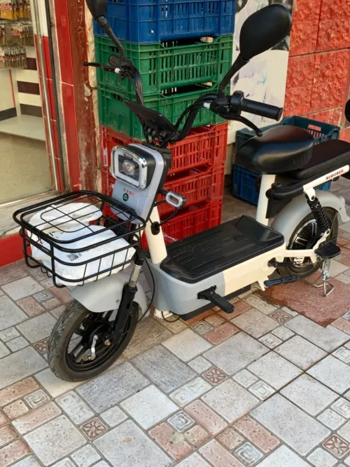 Scoozer Speed 