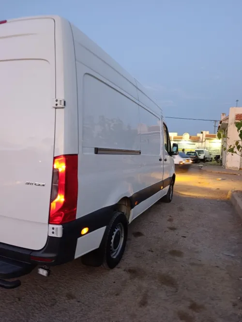 Mercedes Sprentr311 2022