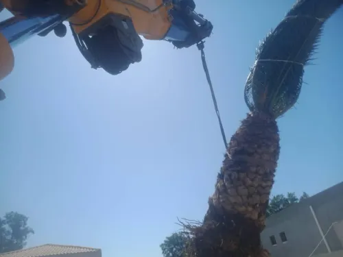 Location camion grue