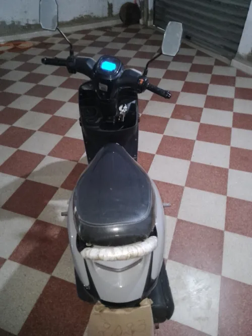 Coxi Estate 2023