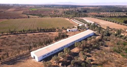 Vente Terrain Agricole Tlemcen Hennaya