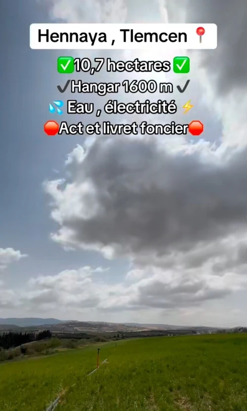 Vente Terrain Agricole Tlemcen Hennaya
