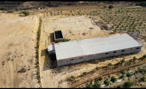 Vente Terrain Agricole Tlemcen Tlemcen