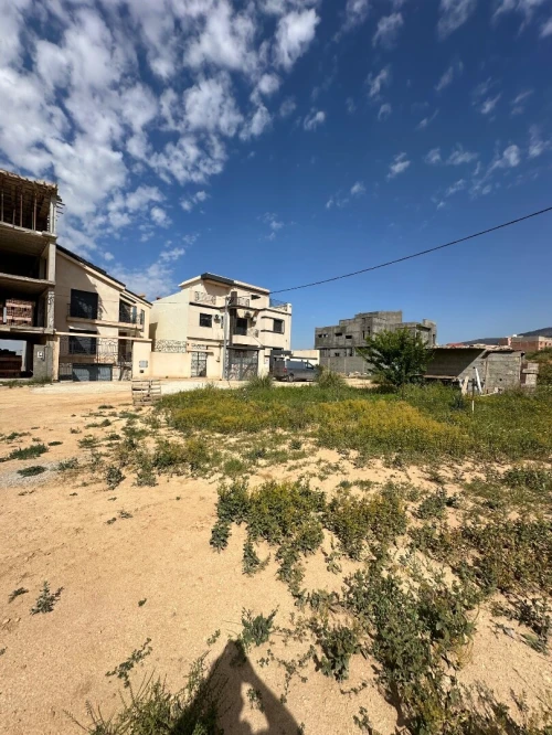 Vente Terrain Tlemcen Tlemcen