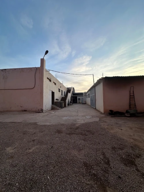 Vente Hangar - Usine Tlemcen Hennaya