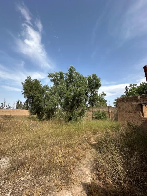 Vente Terrain Tlemcen Tlemcen