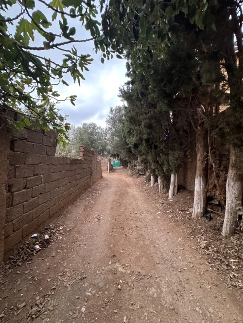 Vente Terrain Tlemcen Tlemcen