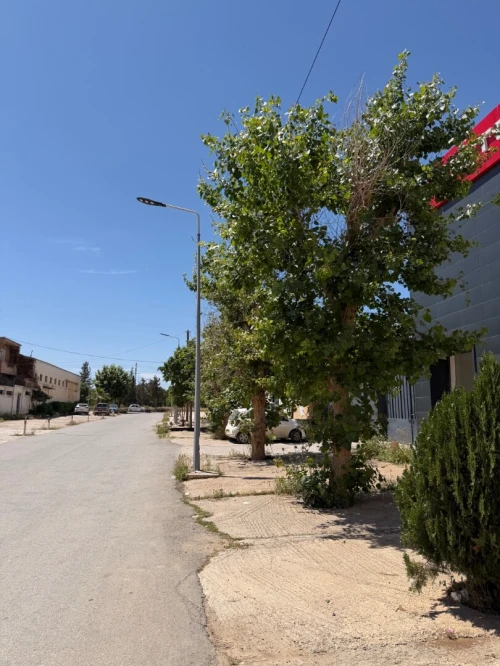 Location Local Tlemcen Chetouane