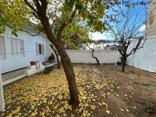 Vente Villa Tlemcen Tlemcen