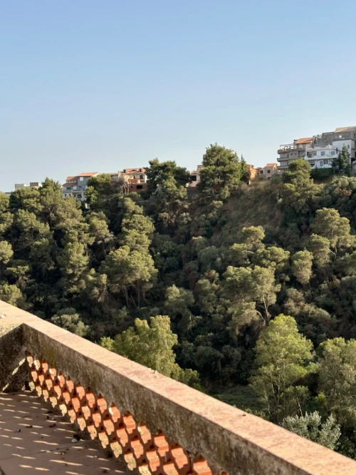 Vente Villa Alger Birkhadem