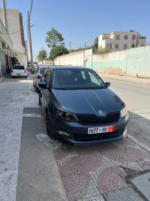 Skoda Fabia 2018 Monte Carlo