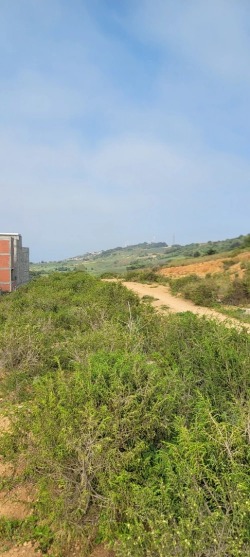 Vente Terrain Tipaza Cherchell