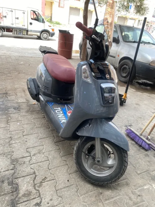 Sym Tonik 2025