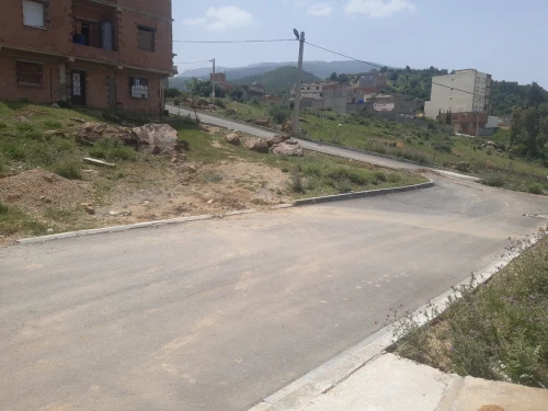 Vente Terrain Blida Bouinan