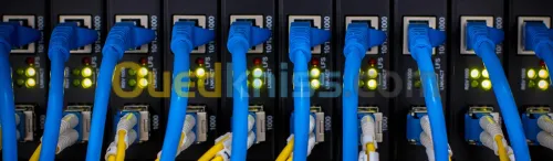 Réseaux Informatiques et Téléphonie IP