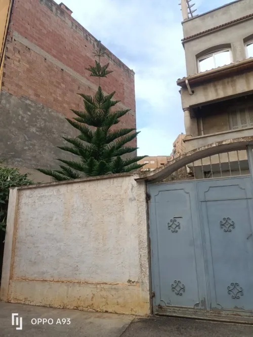 Vente Villa Alger Saoula