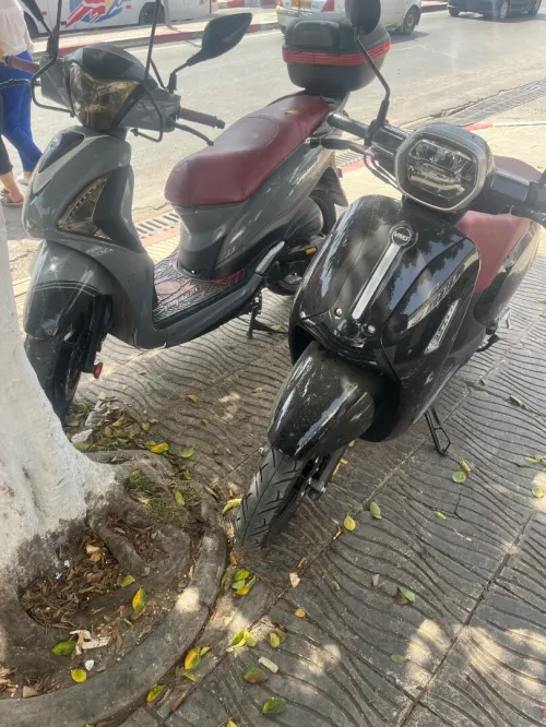 Vms Panarea 2025