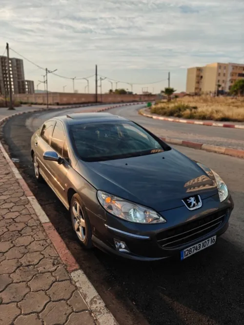 Peugeot 407 2007 407