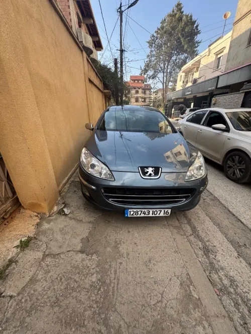Peugeot 407 2007 407